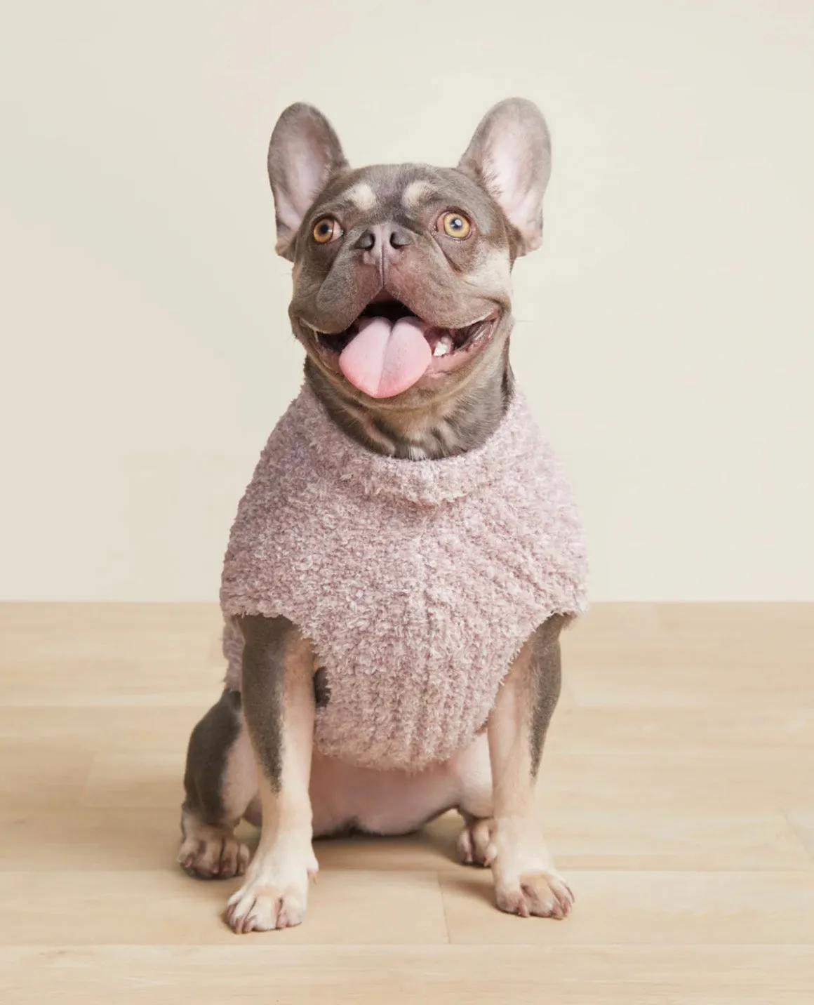 Chenille Rag Dog Sweater - Dark Gray, Light Gray, Black, Winter White, Rose -  5 Color Options