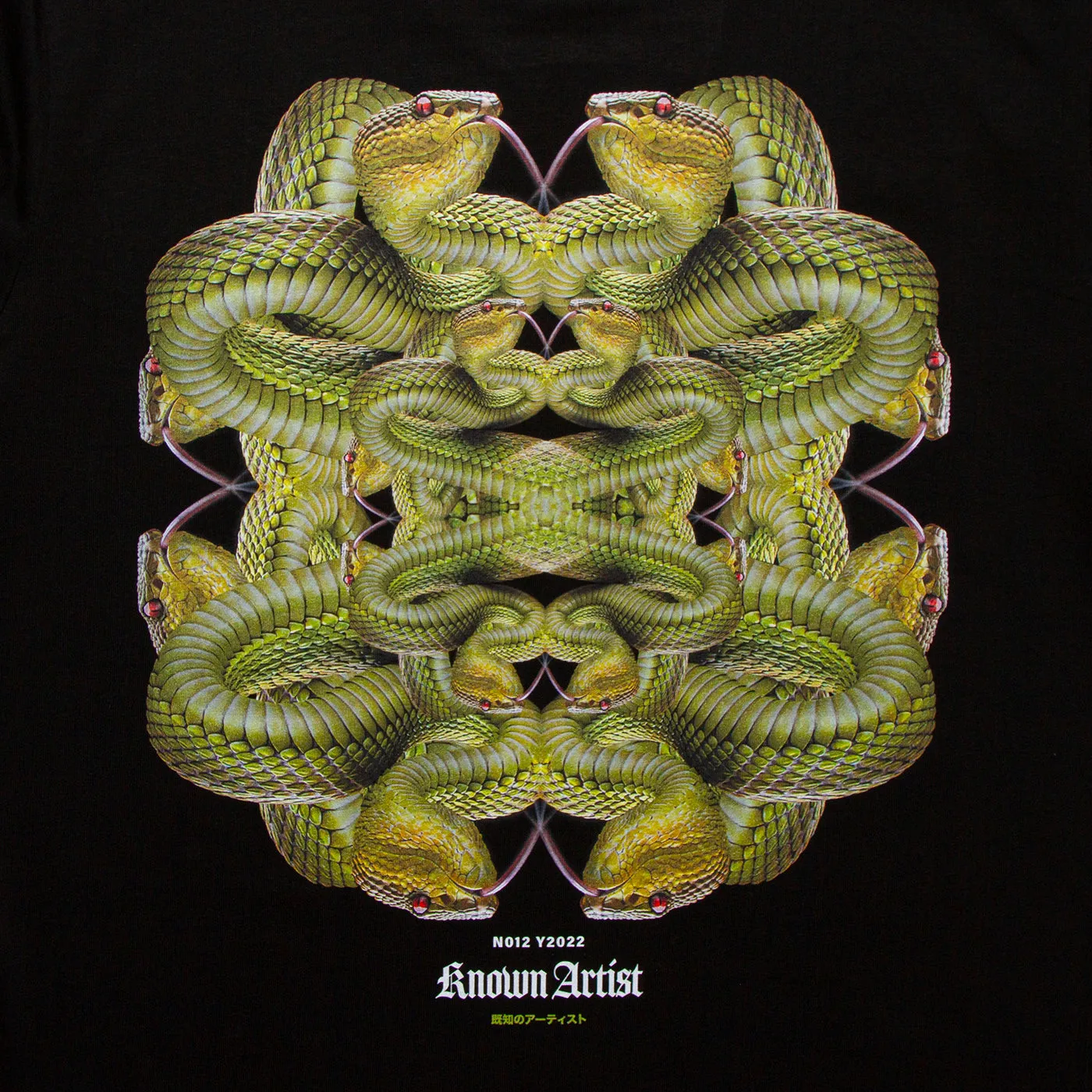 Known Artist 012 - Tshirt - Black