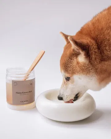 Licked Frozen Bone Broth For Dogs & Cats (Salmon)